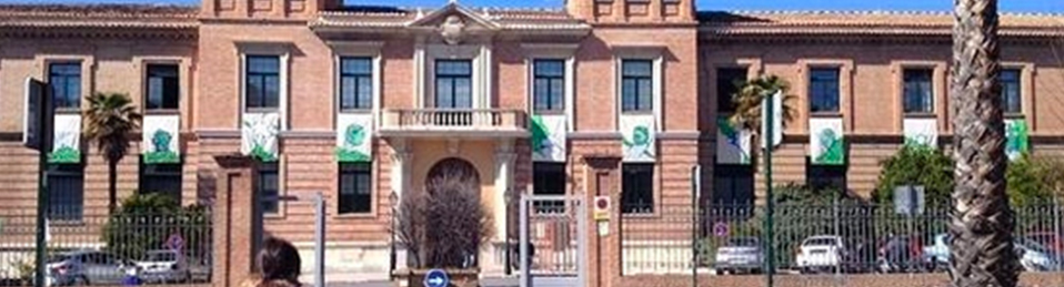 Imagen en la que se puede apreciar el acceso y la fachada exterior de la Facultad de Bellas Artes de Granada.